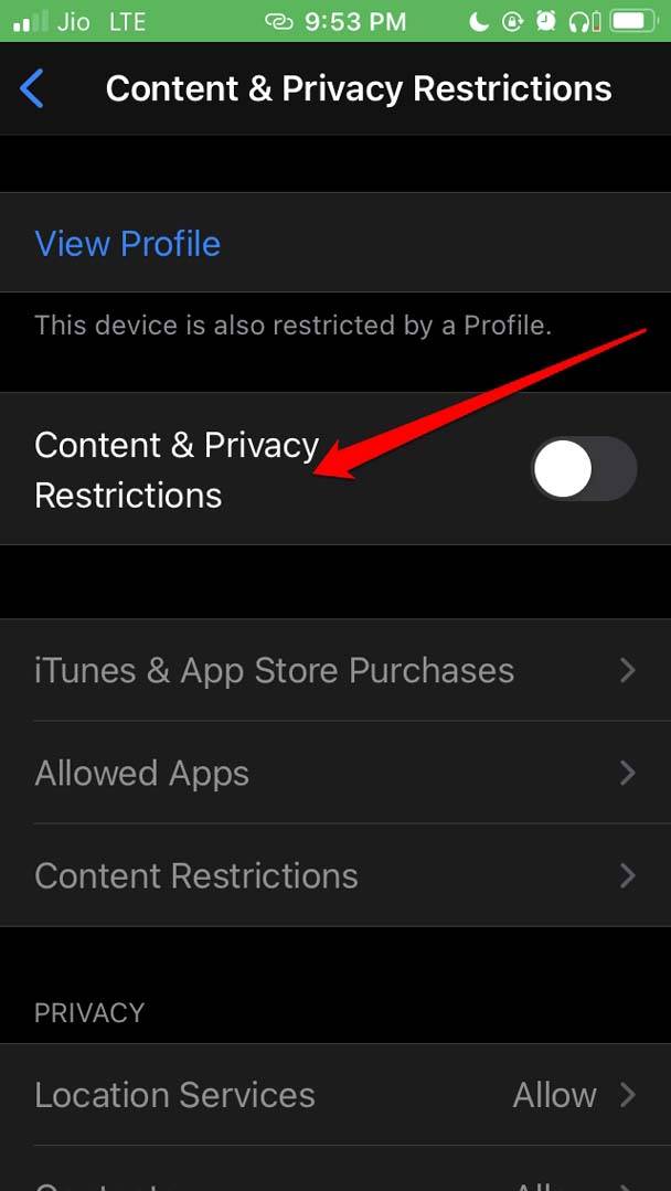 content-and-privacy-restrictions-disabled