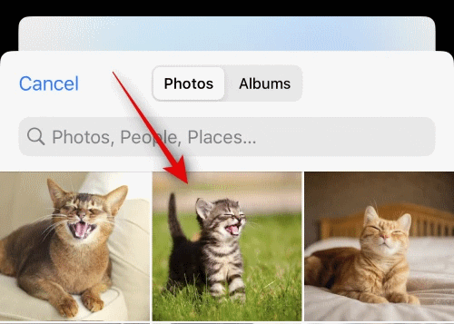 select-the-photo-you-want-to-use-as-a-sticker