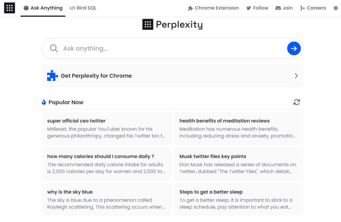 perplexity-input-page