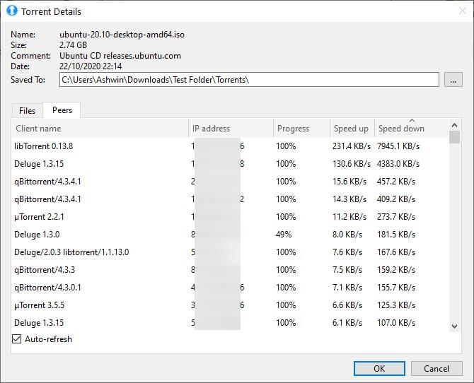 liii-torrent-client-view-peers