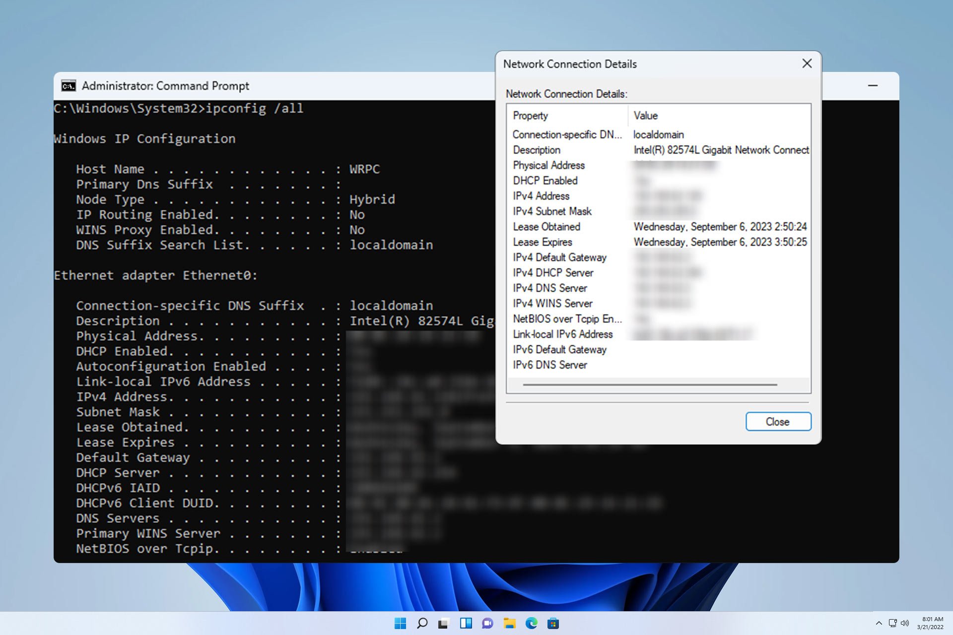 network-connection-details-windows-11