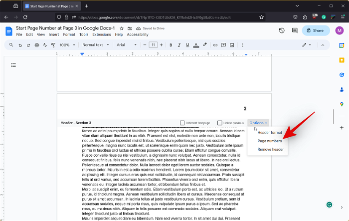 start-page-number-from-anywhere-google-docs-post-update-21